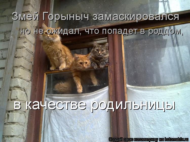 Змей Горыныч замаскировался но не ожидал, что попадет в роддом, в качестве родильницы... Котоматрица: Змей Горыныч замаскировался но не ожидал, что попадет в роддом, в качестве родильницы