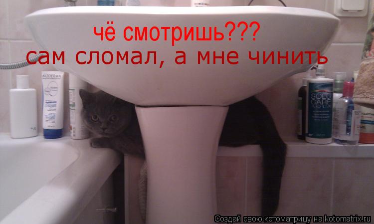 Котоматрица: сам сломал, а мне чинить чё смотришь???