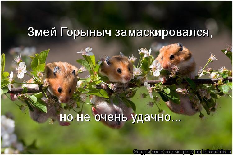 Котоматрица: Змей Горыныч замаскировался, но не очень удачно...