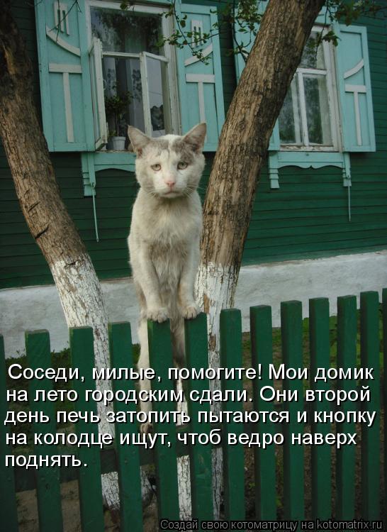 Соседи, милые, помогите! Мои домик на лето городским сдали. Они второй день печь затопить пытаются и... Котоматрица: Соседи, милые, помогите! Мои домик на лето городским сдали. Они второй день печь затопить пытаются и кнопку на колодце ищут, чтоб ведро наве