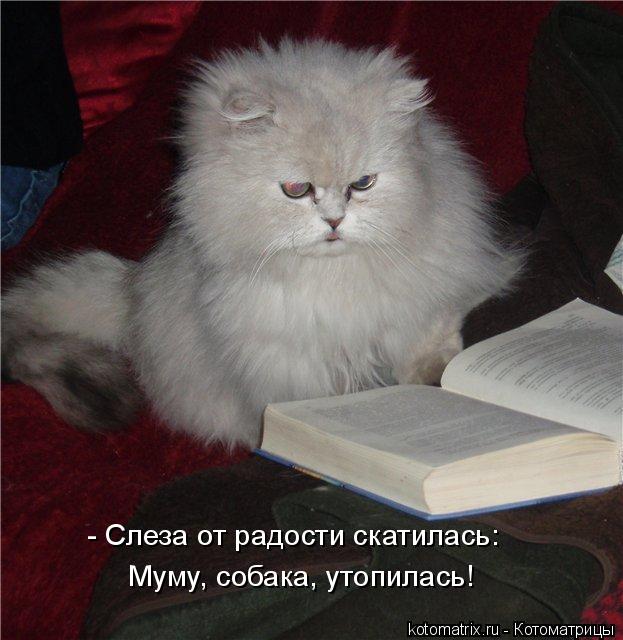 - Слеза от радости скатилась: Муму, собака, утопилась!... Котоматрица: - Слеза от радости скатилась: Муму, собака, утопилась!