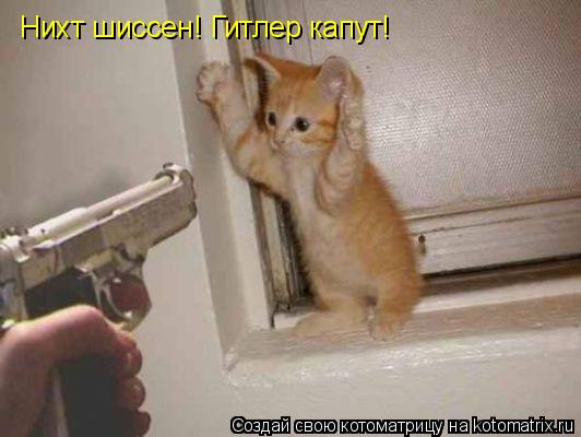 Котоматрица: Нихт шиссен! Гитлер капут!