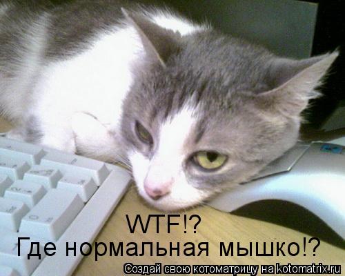 Котоматрица: WTF!? Где нормальная мышко!?