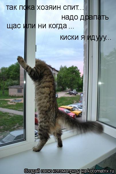 Котоматрица: так пока хозяин спит... надо драпать щас или ни когда  ... киски я идууу...