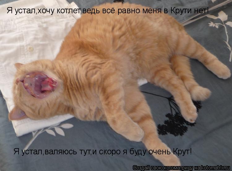 Котоматрица: Я устал,хочу котлет,ведь всё равно меня в Крути нет! Я устал,валяюсь тут,и скоро я буду очень Крут!