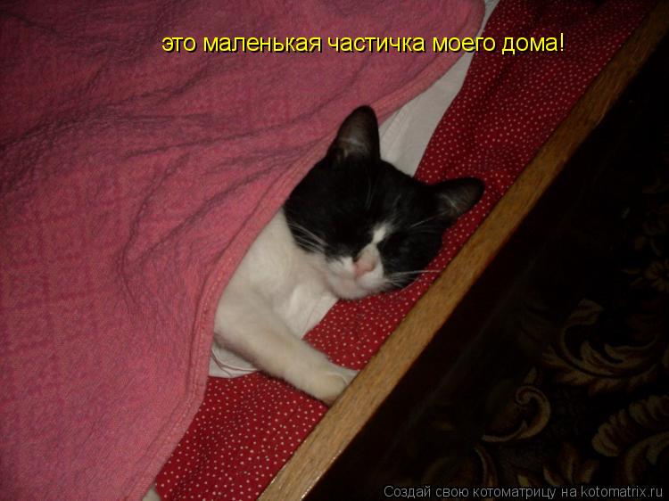 Котоматрица: это маленькая частичка моего дома!