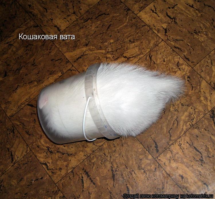 Котоматрица: Кошаковая вата