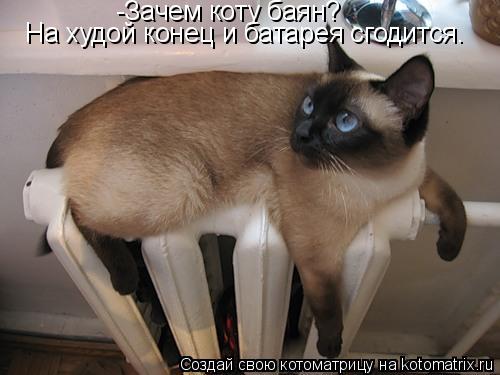Котоматрица: -Зачем коту баян? На худой конец и батарея сгодится.