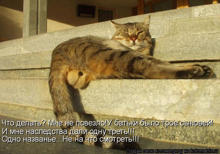 Что делать? Мне не повезло!У батьки было трое сыновей! И мне наследства дали одну треть!!! Одно назва... Котоматрица: Что делать? Мне не повезло!У батьки было трое сыновей! И мне наследства дали одну треть!!! Одно названье...Не на что смотреть!!!