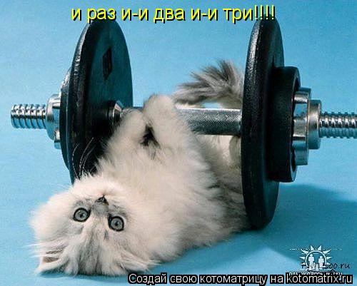 и раз и-и два и-и три!!!!... Котоматрица: и раз и-и два и-и три!!!!