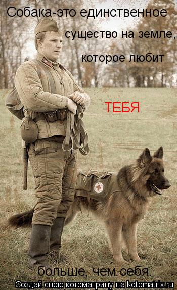 Собака-это единственное существо на земле, которое любит ТЕБЯ больше, чем себя.... Котоматрица: Собака-это единственное существо на земле, которое любит ТЕБЯ больше, чем себя.