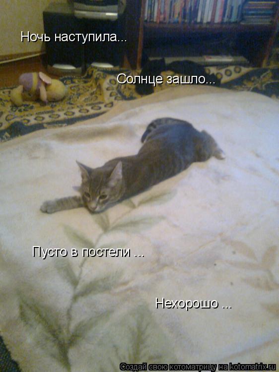 Ночь наступила... Солнце зашло... Пусто в постели ... Нехорошо ...... Котоматрица: Ночь наступила... Солнце зашло... Пусто в постели ... Нехорошо ...