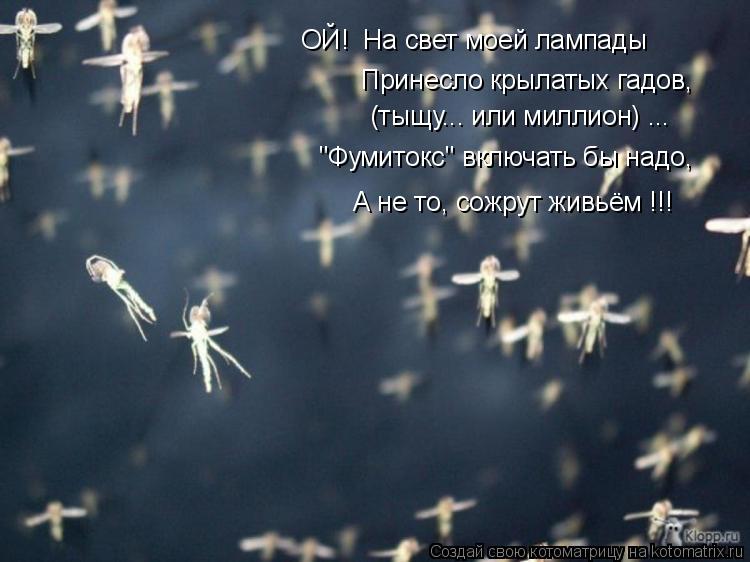ОЙ! На свет моей лампады Принесло крылатых гадов, (тыщу... или миллион) ... "Фумитокс" включать бы ... Котоматрица: ОЙ! На свет моей лампады Принесло крылатых гадов, (тыщу... или миллион) ... "Фумитокс" включать бы надо, А не то, сожрут живьём !!!