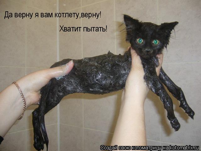 Да верну я вам котлету,верну! Хватит пытать!... Котоматрица: Да верну я вам котлету,верну! Хватит пытать!