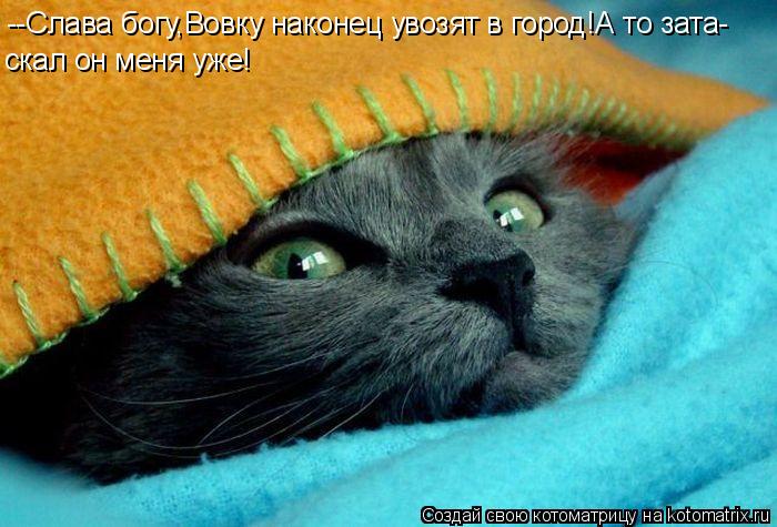 --Слава богу,Вовку наконец увозят в город!А то зата- скал он меня уже!... Котоматрица: --Слава богу,Вовку наконец увозят в город!А то зата- скал он меня уже!