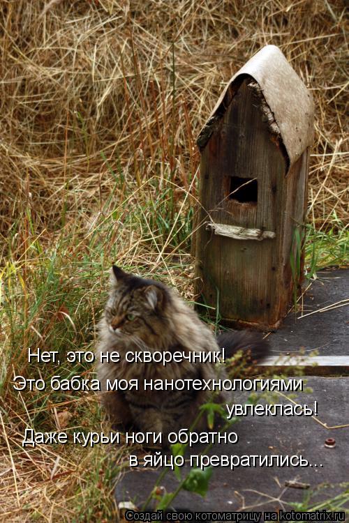 Нет, это не скворечник! Это бабка моя нанотехнологиями увлеклась! Даже курьи ноги обратно в яйцо пре... Котоматрица: Нет, это не скворечник! Это бабка моя нанотехнологиями увлеклась! Даже курьи ноги обратно в яйцо превратились...