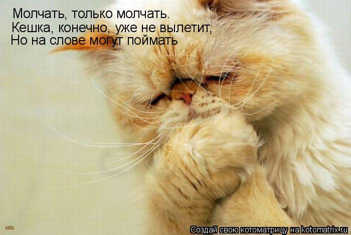 Котоматрица: Молчать, только молчать. Кешка, конечно, уже не вылетит, Но на слове могут поймать