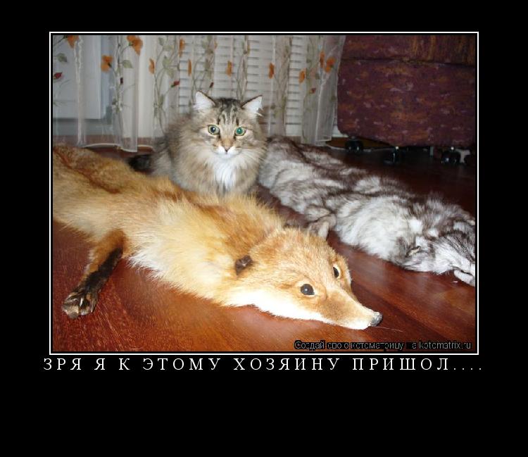 Котоматрица: Зря я к этому хозяину пришол.... 