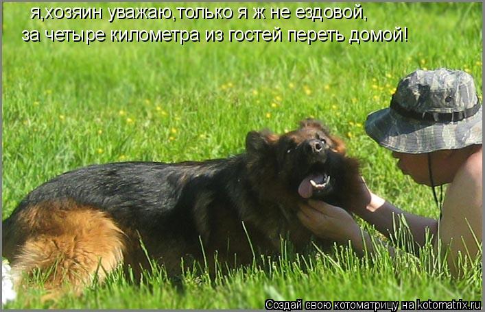 Котоматрица: за четыре километра из гостей переть домой! я,хозяин уважаю,только я ж не ездовой,