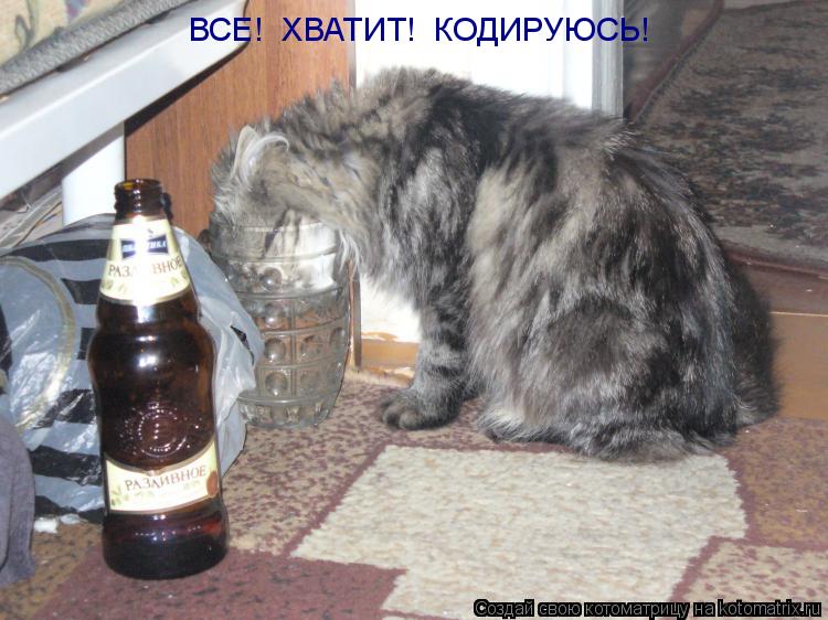 Котоматрица: ВСЕ!  ХВАТИТ!  КОДИРУЮСЬ!