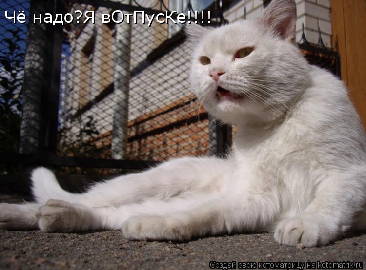Котоматрица: Чё надо?Я вОтПусКе!!!!