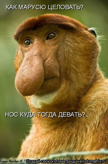Котоматрица: КАК МАРУСЮ ЦЕЛОВАТЬ? НОС КУДА ТОГДА ДЕВАТЬ?...