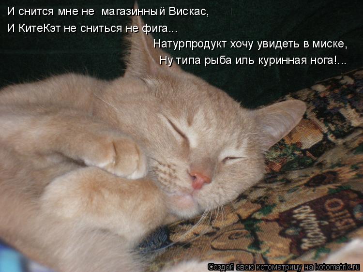 Котоматрица: И снится мне не  магазинный Вискас, И КитеКэт не сниться не фига... Натурпродукт хочу увидеть в миске, Ну типа рыба иль куринная нога!...