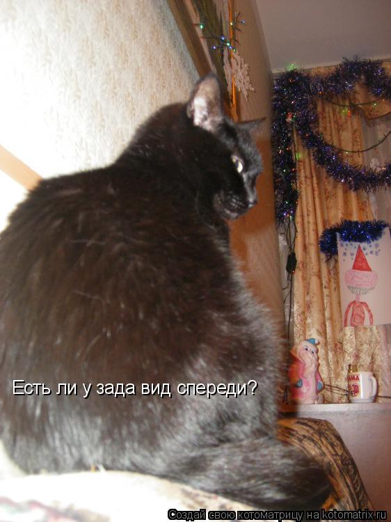 Котоматрица: Есть ли у зада вид спереди?