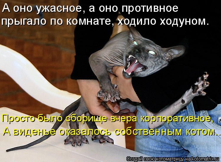А оно ужасное, а оно противное прыгало по комнате, ходило ходуном. А виденье оказалось собственным к... Котоматрица: А оно ужасное, а оно противное прыгало по комнате, ходило ходуном. А виденье оказалось собственным котом... Просто было сборище вчера корпор