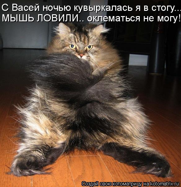 Котоматрица: С Васей ночью кувыркалась я в стогу... МЫШЬ ЛОВИЛИ.. оклематься не могу!!!