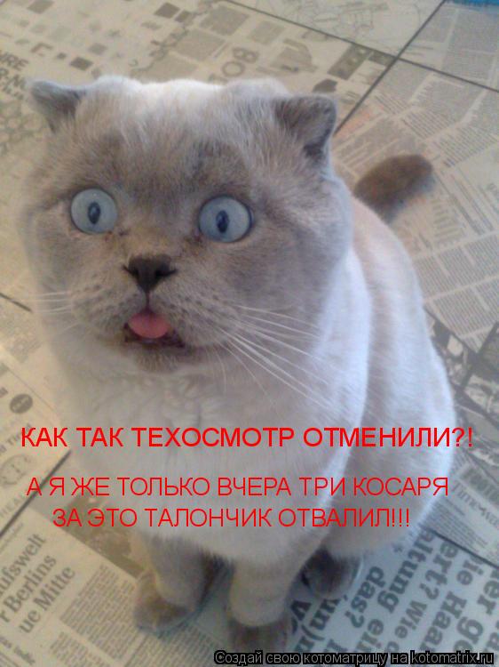 КАК ТАК ТЕХОСМОТР ОТМЕНИЛИ?! А Я ЖЕ ТОЛЬКО ВЧЕРА ТРИ КОСАРЯ ЗА ЭТО ТАЛОНЧИК ОТВАЛИЛ!!!... Котоматрица: КАК ТАК ТЕХОСМОТР ОТМЕНИЛИ?! А Я ЖЕ ТОЛЬКО ВЧЕРА ТРИ КОСАРЯ ЗА ЭТО ТАЛОНЧИК ОТВАЛИЛ!!!