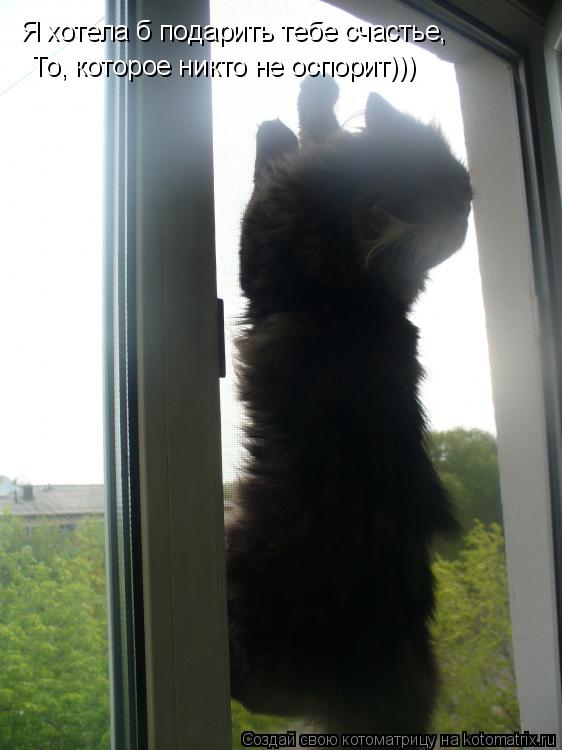 Я хотела б подарить тебе счастье, То, которое никто не оспорит)))... Котоматрица: Я хотела б подарить тебе счастье, То, которое никто не оспорит)))