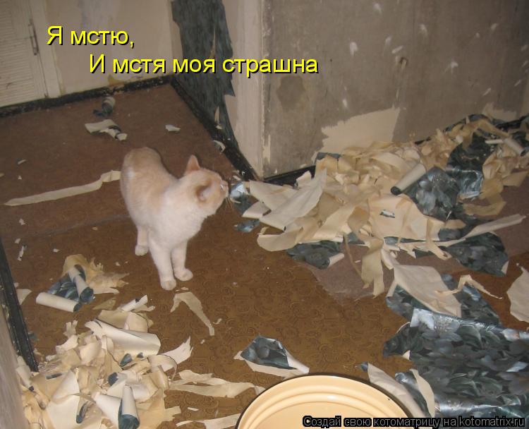 Я мстю, И мстя моя страшна... Котоматрица: Я мстю, И мстя моя страшна