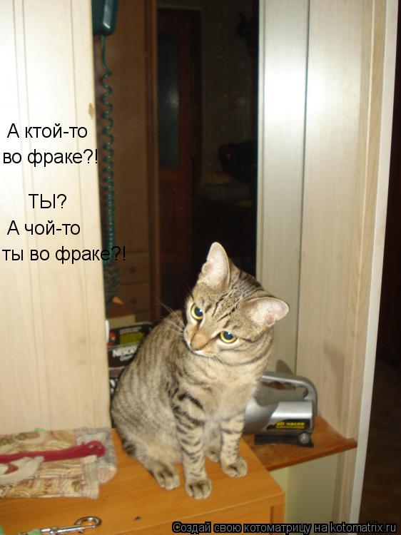ТЫ? А ктой-то во фраке?! А чой-то ты во фраке?!... Котоматрица: ТЫ? А ктой-то во фраке?! А чой-то ты во фраке?!