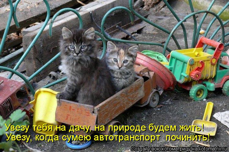 Увезу тебя на дачу, на природе будем жить! Увезу, когда сумею автотранспорт починить!... Котоматрица: Увезу тебя на дачу, на природе будем жить! Увезу, когда сумею автотранспорт починить!