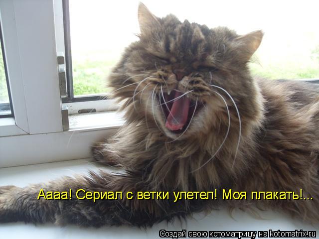 Котоматрица: Аааа! Сериал с ветки улетел! Моя плакать!... Аааа! Сериал с ветки улетел! Моя плакать!... Аааа! Сериал с ветки улетел! Моя плакать!...