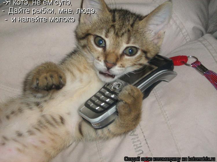 Котоматрица: -Я котэ, не ем супэ,   -  Дайте рыбки, мне, людэ.     -  и налейте молокэ