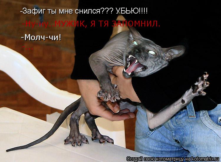 Котоматрица: -Зафиг ты мне снился??? УБЬЮ!!!! -Ну-ну..МУЖИК, Я ТЯ ЗАПОМНИЛ. -Молч-чи! -...