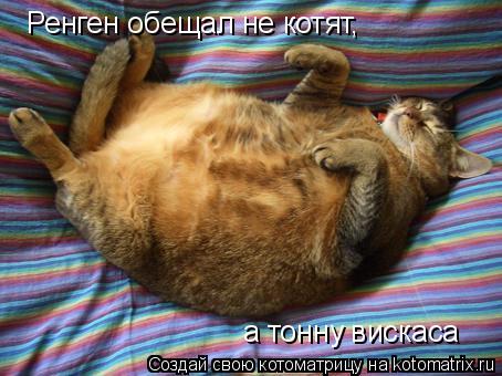 Котоматрица: Ренген обещал не котят, а тонну вискаса