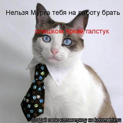 Котоматрица: Нельзя Мурка тебя на работу брать   слишком яркий галстук