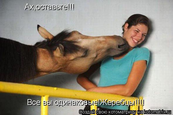 Котоматрица: Ах,оставьте!!! Все вы одинаковые!Жеребцы!!!!