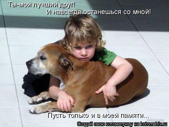 Котоматрица: Ты-мой лучший друг! И навсегда останешься со мной! Пусть только и в моей памяти...