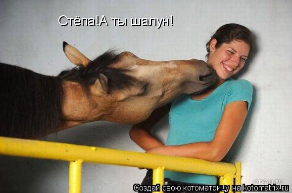 Котоматрица: Стёпа!А ты шалун!