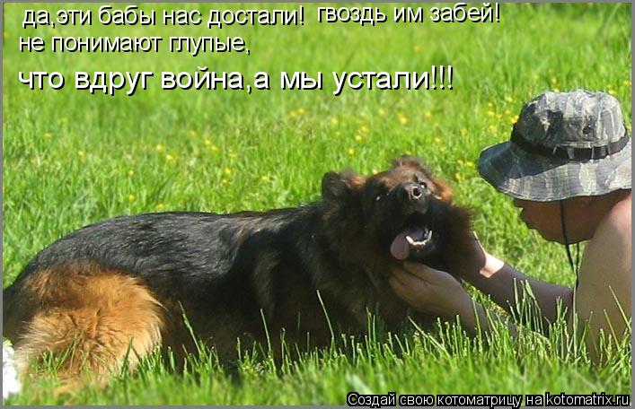 Котоматрица: да,эти бабы нас достали! гвоздь им забей! не понимают глупые, что вдруг война,а мы устали!!!