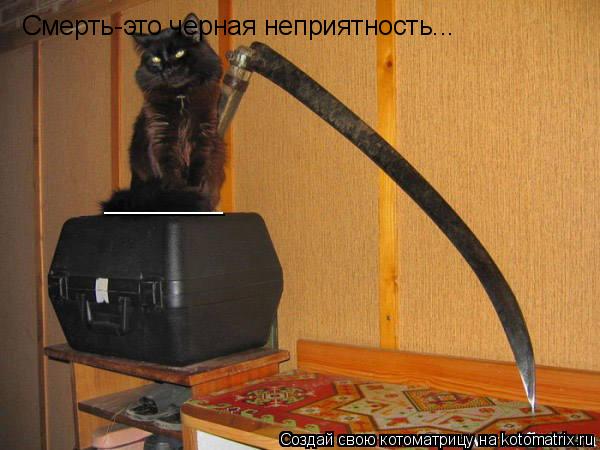 Котоматрица: Смерть-это черная неприятность... ________