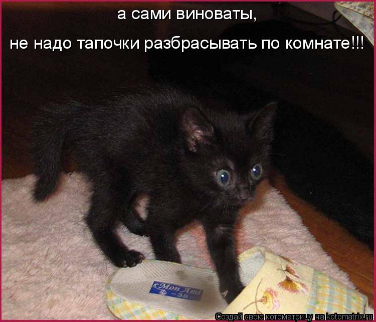 Котоматрица: а сами виноваты, не надо тапочки разбрасывать по комнате!!!