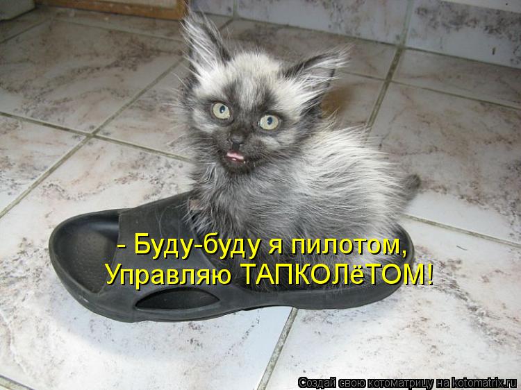 - Буду-буду я пилотом, Управляю ТАПКОЛёТОМ!... Котоматрица: - Буду-буду я пилотом, Управляю ТАПКОЛёТОМ!