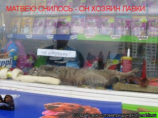 МАТВЕЮ СНИЛОСЬ - ОН ХОЗЯИН ЛАВКИ... Котоматрица: МАТВЕЮ СНИЛОСЬ - ОН ХОЗЯИН ЛАВКИ