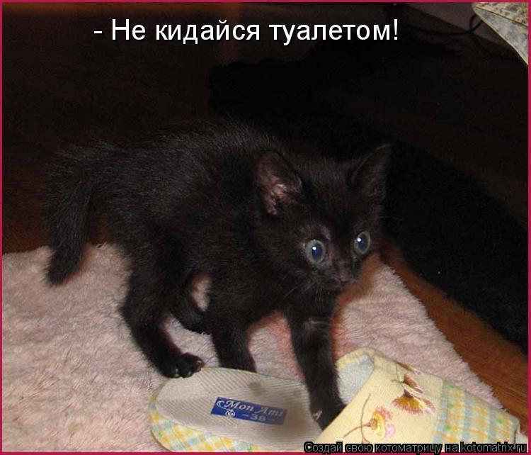 - Не кидайся туалетом!... Котоматрица: - Не кидайся туалетом!