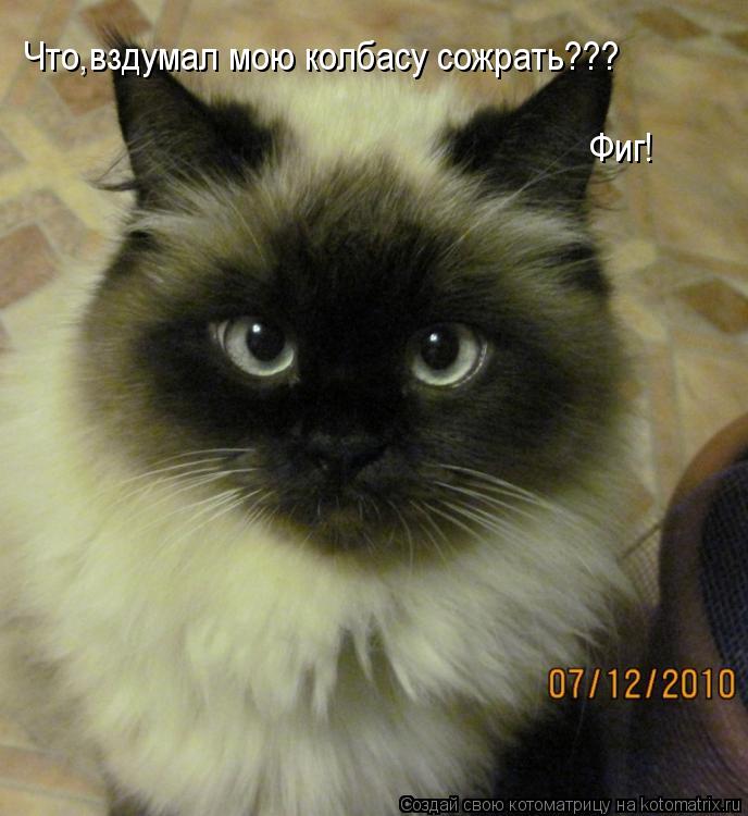 Что,вздумал мою колбасу сожрать??? Фиг!... Котоматрица: Что,вздумал мою колбасу сожрать??? Фиг!